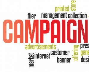 سایت های از نوع کمپین می توانند مرتبط با بازاریابی های استراتژیک یا اعلام یک رویداد مانند زمان برگزاری یک کنسرت، سخنرانی یا نمایشگاه باشند.